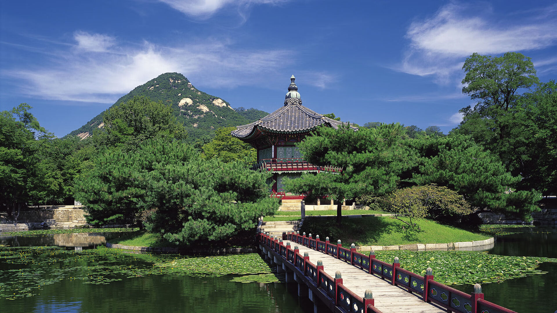 世界举重锦标赛:技术细化与恢复监测并行提升比赛成功率,世界举重锦标赛109公斤以上级b组决赛