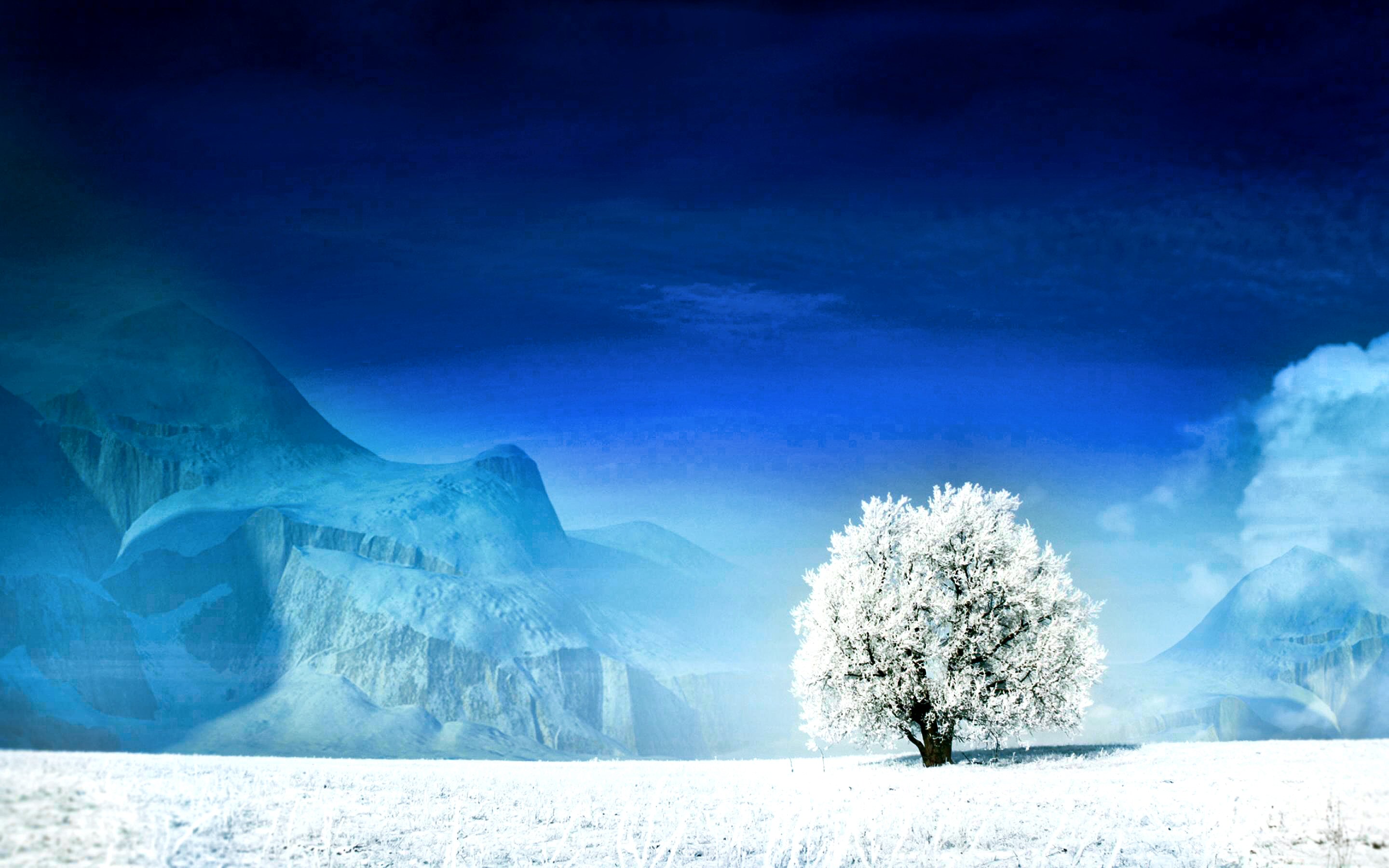 世界举重青训成果展:区域训练中心成绩显著提升,2021举重世界纪录一览表